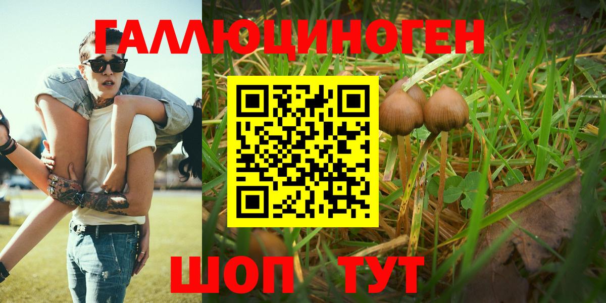 Псилоцибиновые грибы Magic Shrooms Лыткарино